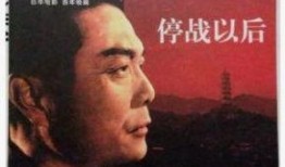 电影停战之后在线观看,战火余晖下的和平曙光